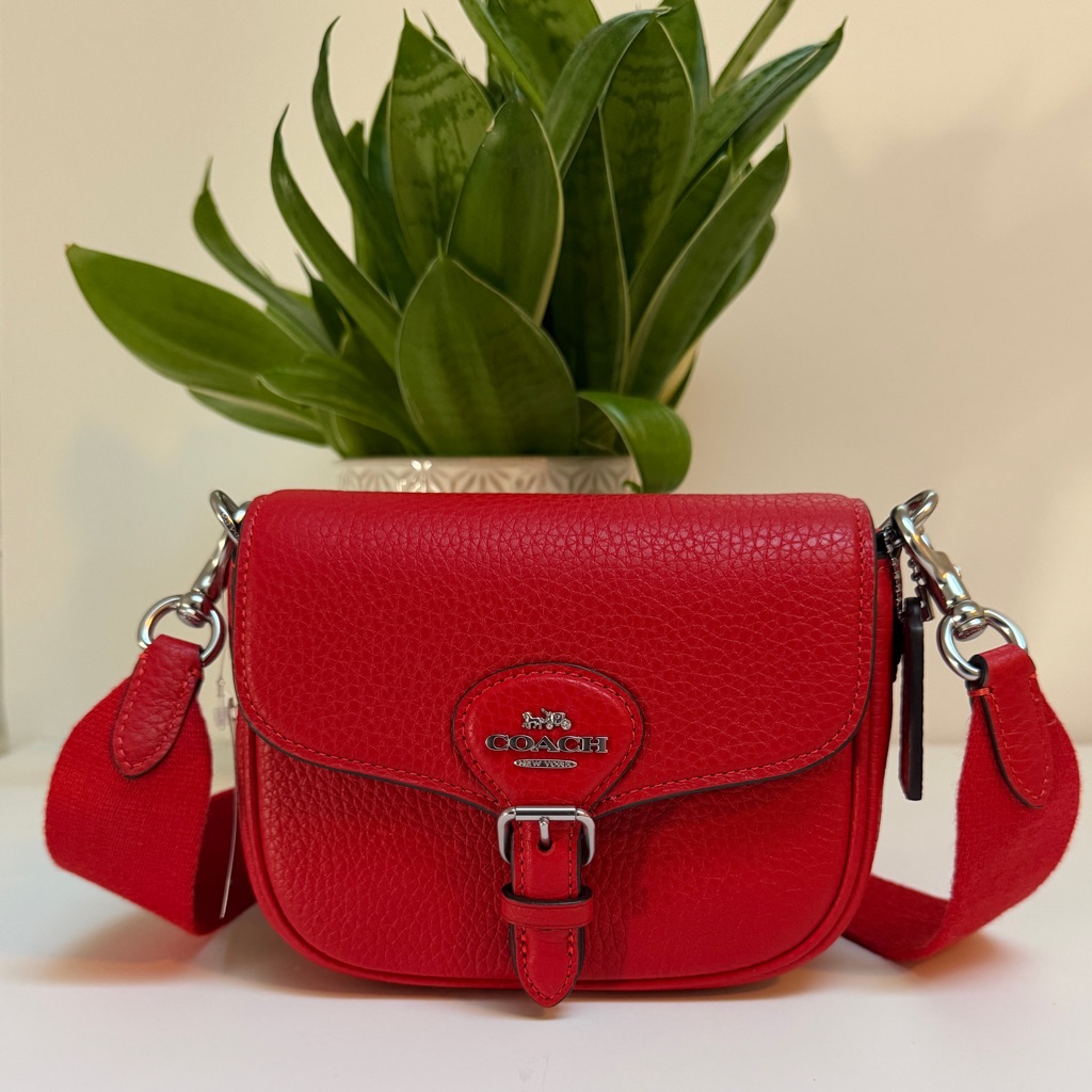 Coach Amelia Small Saddle Bag